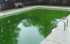 Fortes chaleurs piscine - l'eau devient verte - ICO by Ondilo