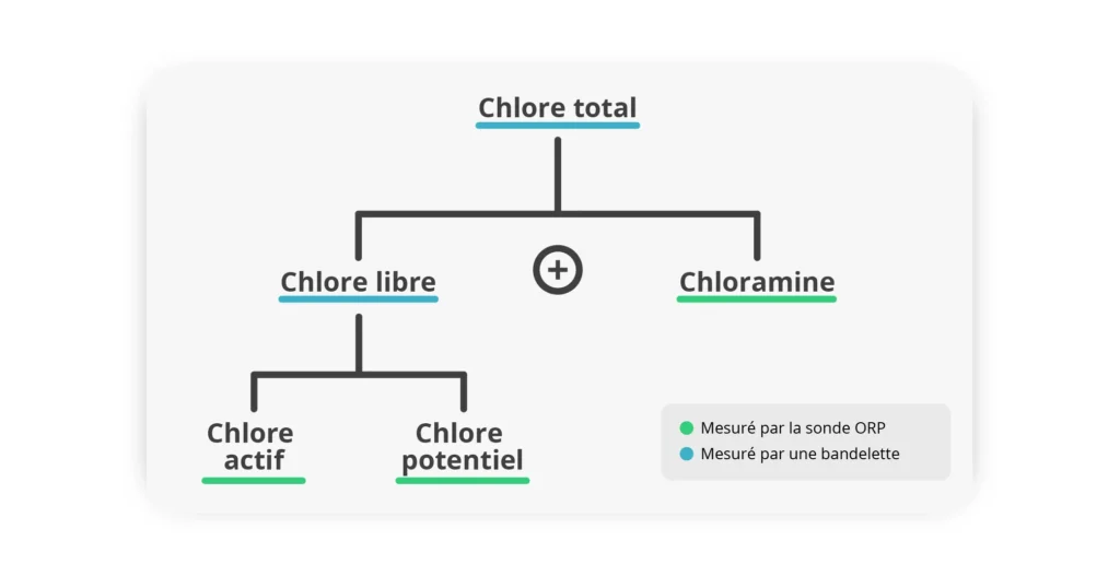 schéma qui présente les différentes formes de chlore. Seul le chlore actif ,mesuré par la sonde ORP ICO, est responsable de la désinfection de l'eau de la piscine. Les bandelettes mesurent tous les chlores sans distinction et sont donc moins efficaces. 