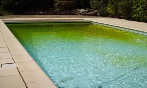 Green pool water with or without algae 