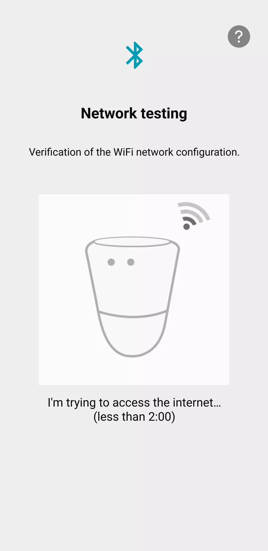 Visual of the application showing the ico wifi network configuration check page