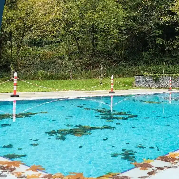 illustration image swimming pool in autumn 