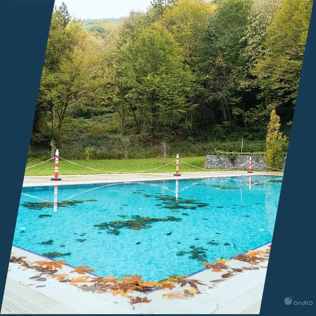 illustration image swimming pool in autumn